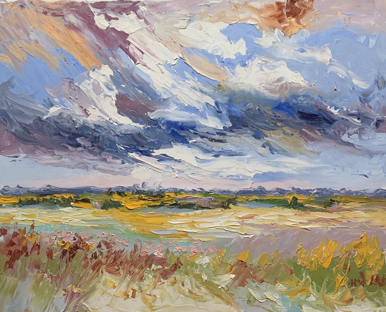 Fields of Change. Vita Schagen