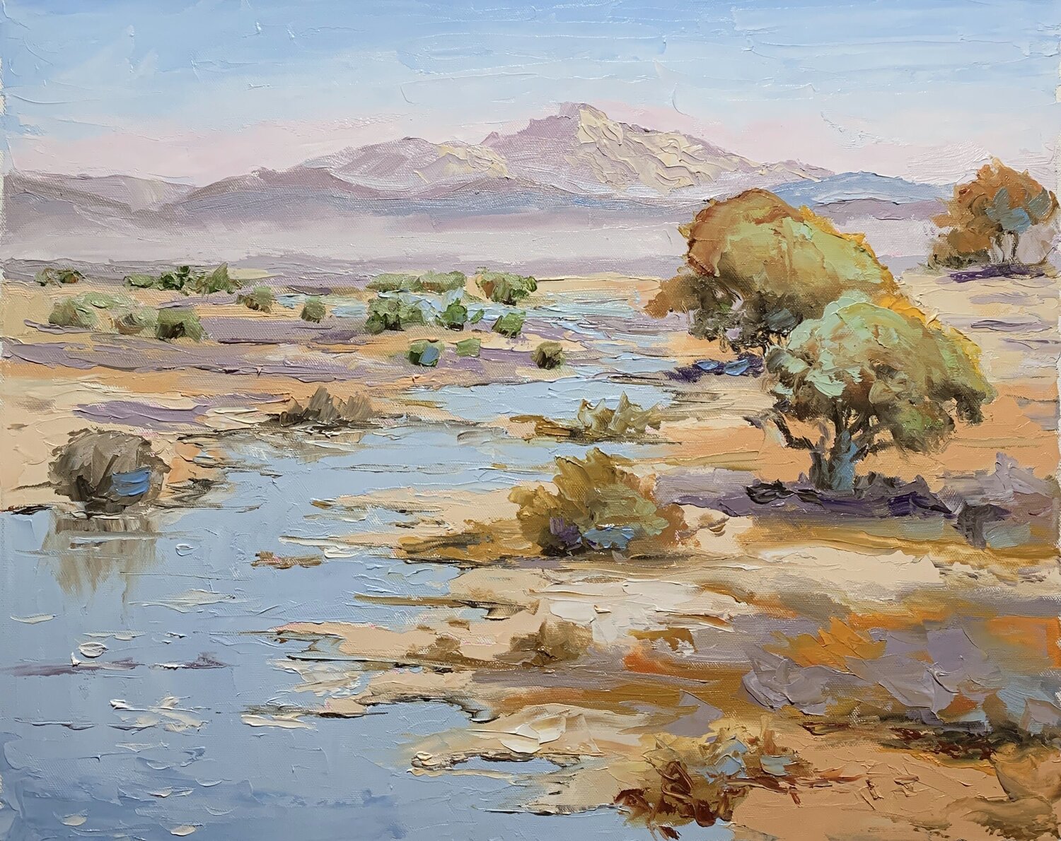 Mountains, desert oases. Vita Schagen