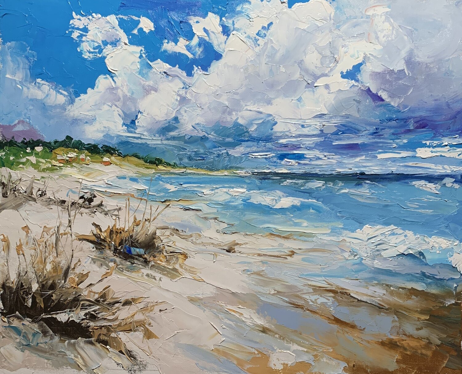 Coastal Skies. Vita Schagen