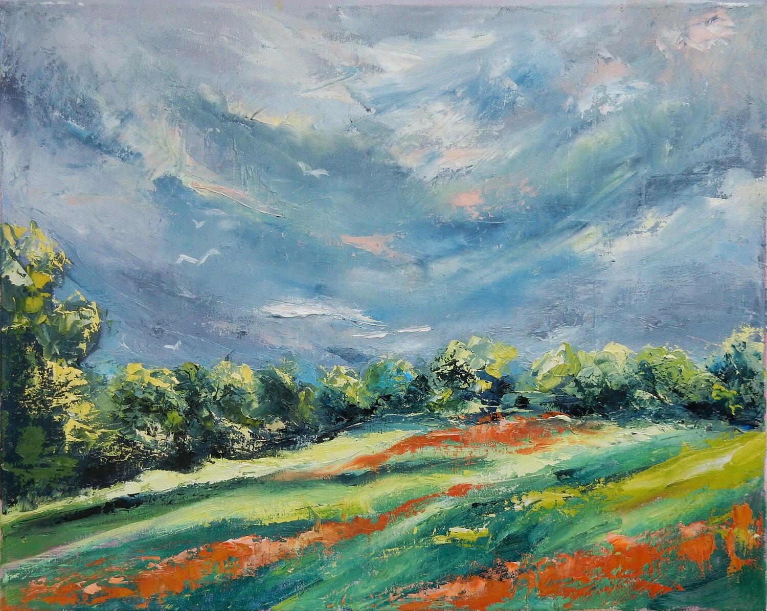 Before the storm. Landscape Vita Schagen