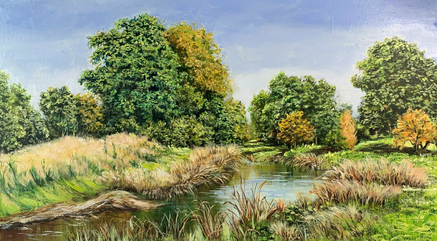 Sunny day. landscape Vita Schagen