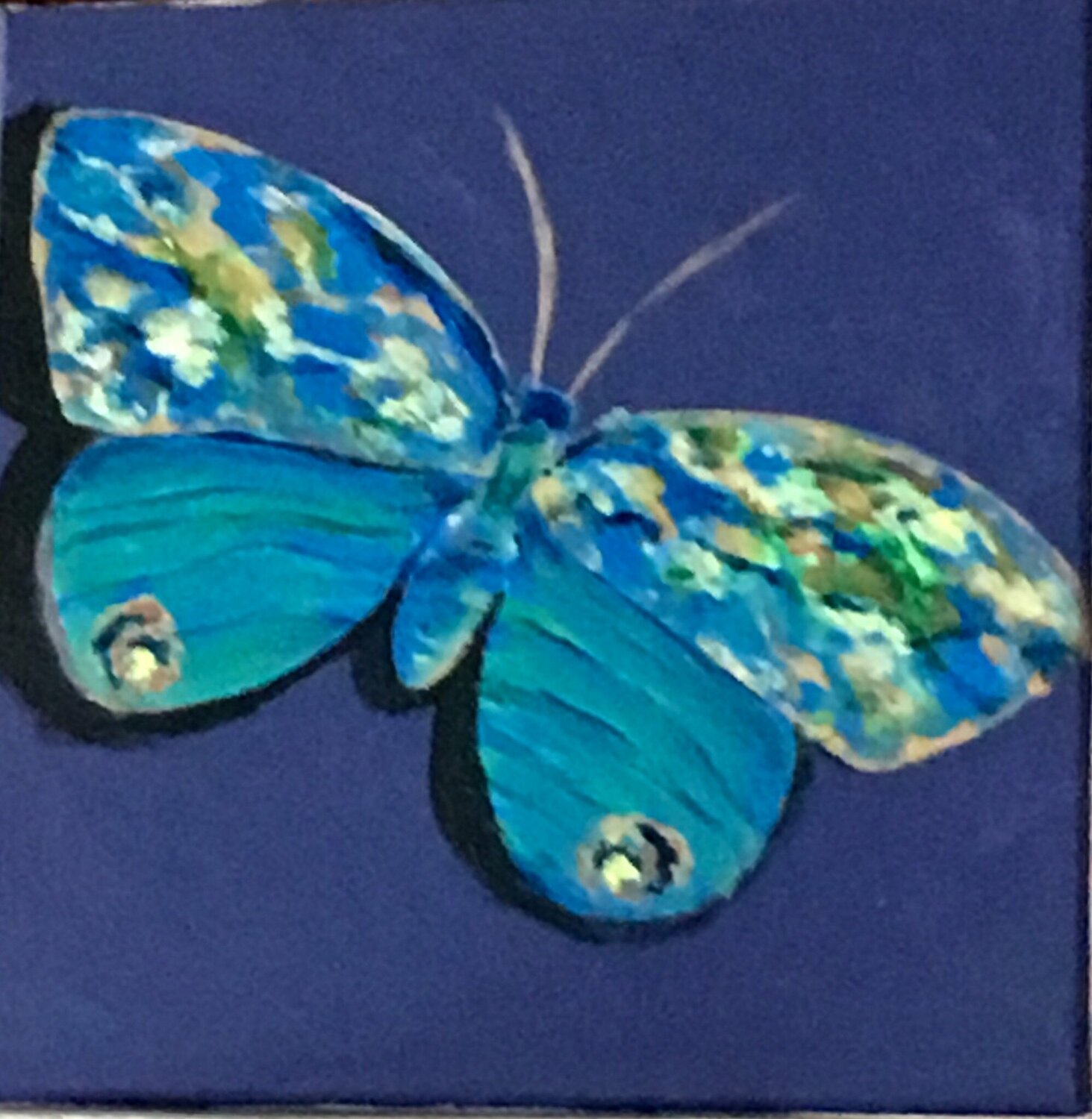 Butterflies in a blue mood Mona Asmar Hecker