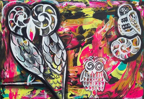 Hypnotized Owls van Cinthya Picazo, Schilderij te koop op Singulart