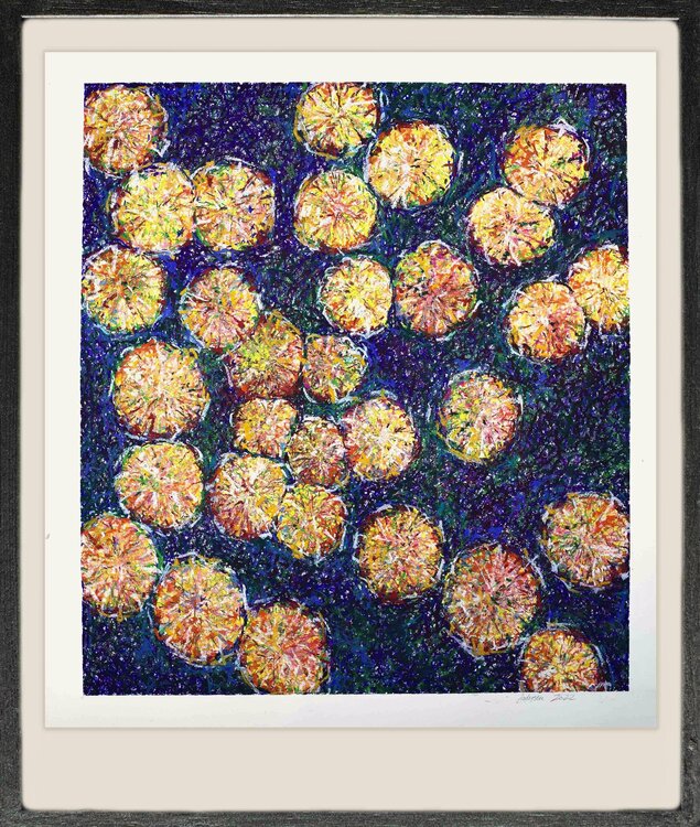 Espacio florido/ blooming space Pia Andersen