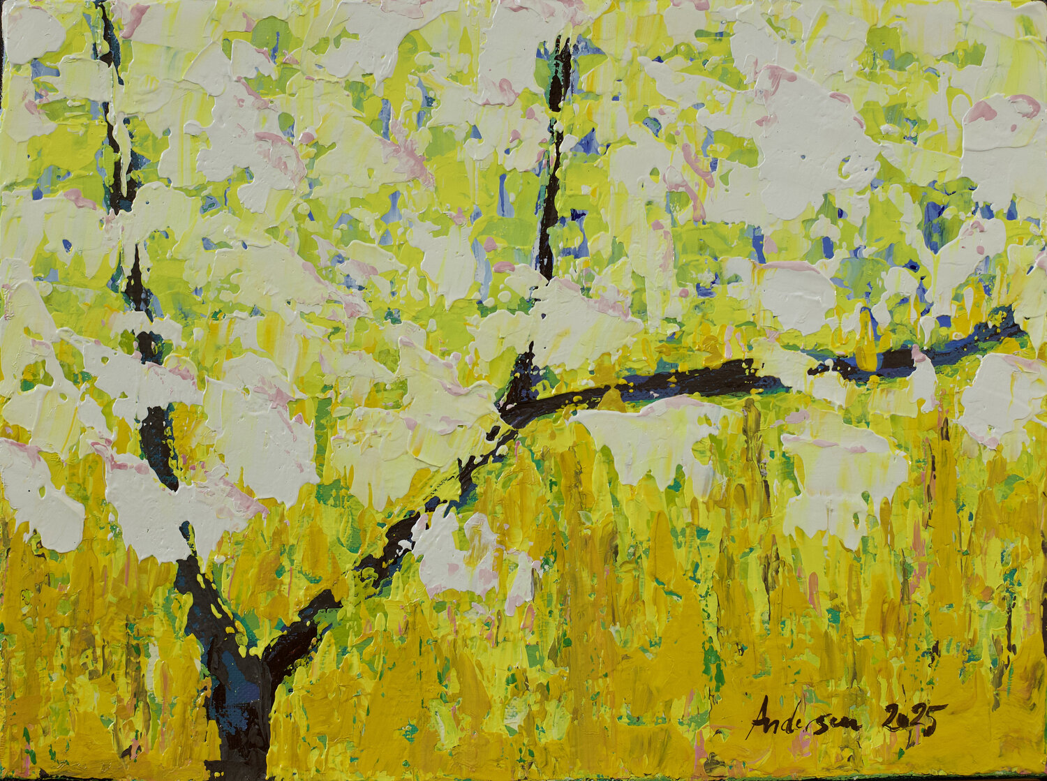 La Rama IX Pia Andersen