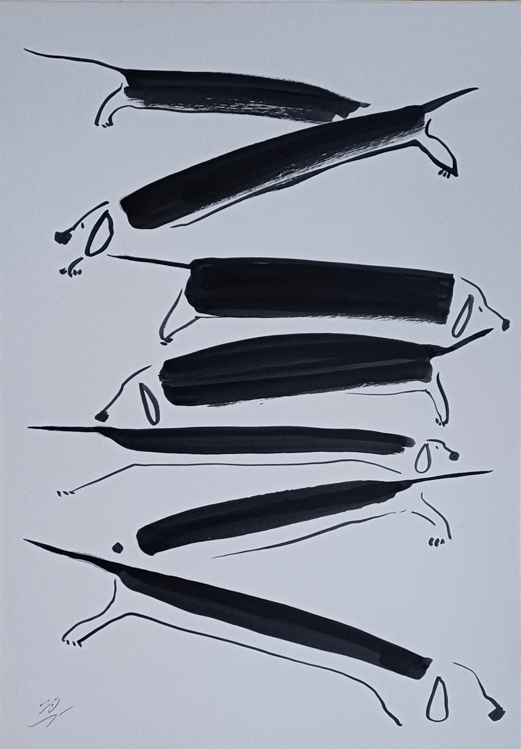 Zigzag Yaryna Shumska