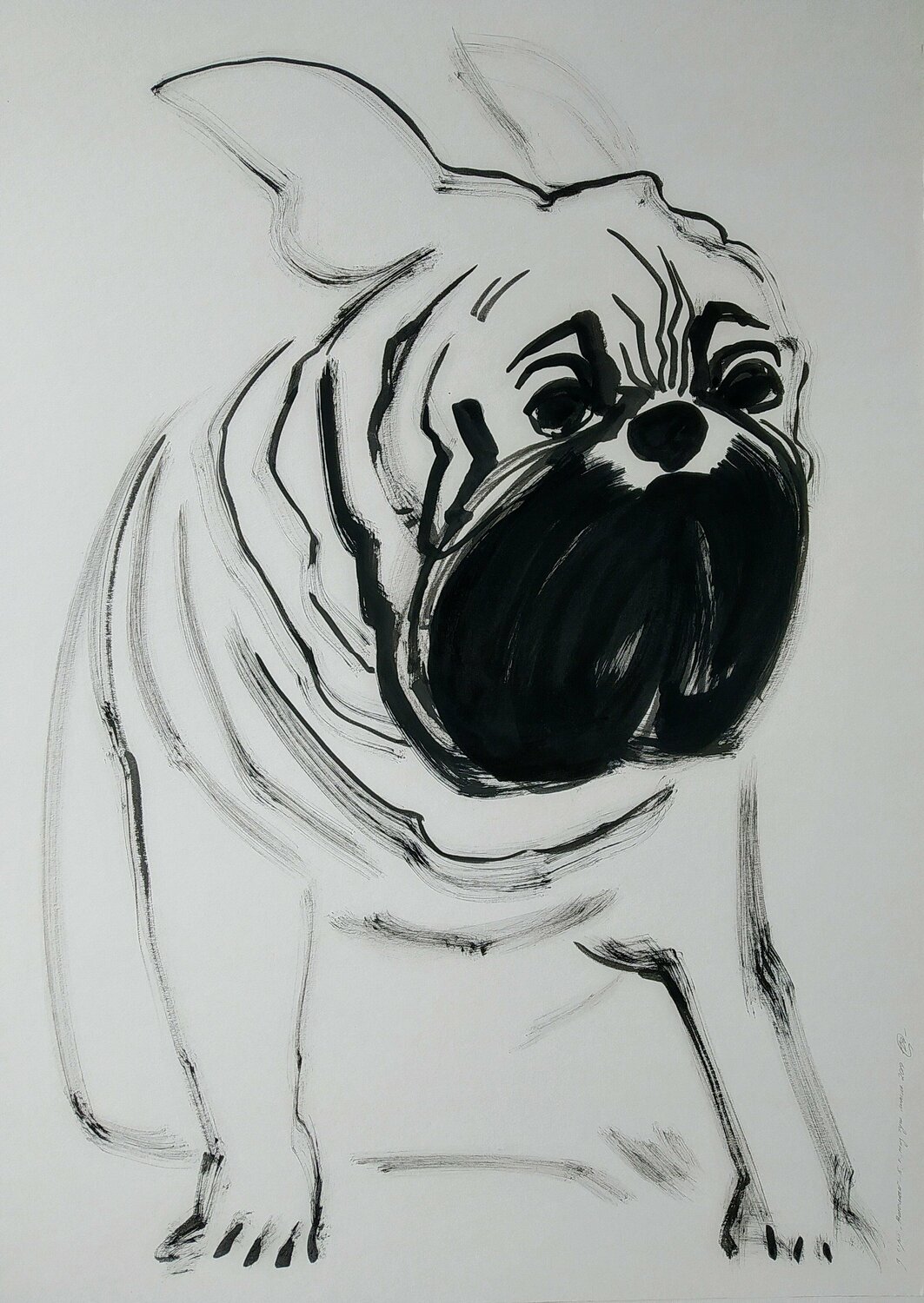 Mops Yaryna Shumska