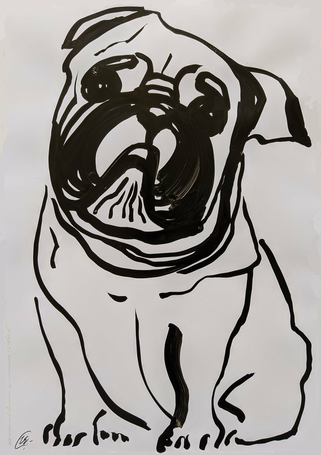 Bulldog Yaryna Shumska