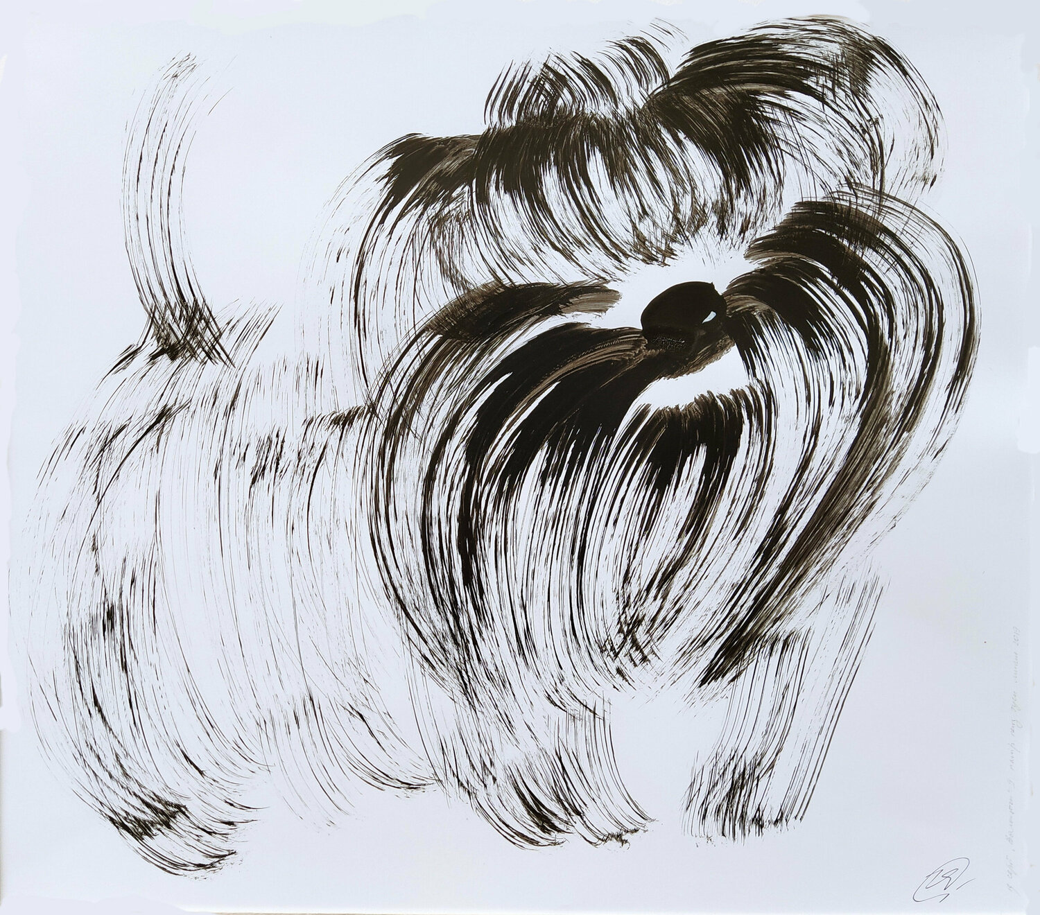 Shaggy dog Yaryna Shumska