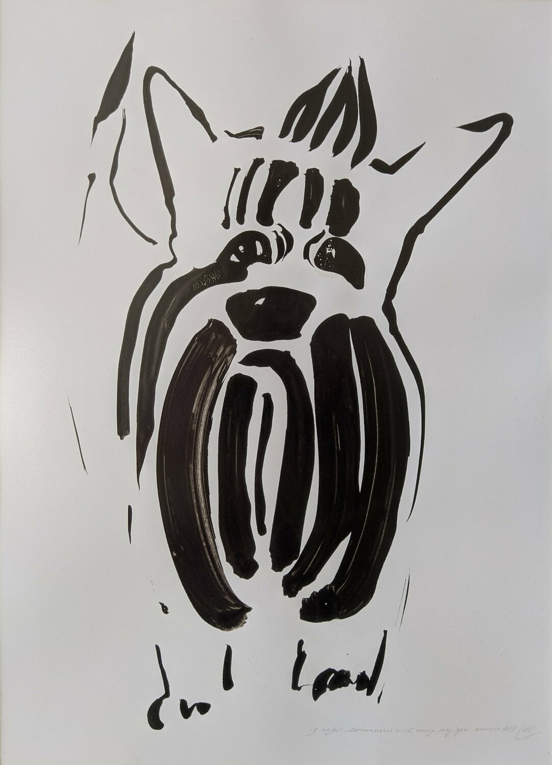 Yorkshire Terrier Yaryna Shumska