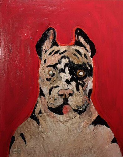 bull dog in red van Brenda Barnum, Schilderij te koop op Singulart