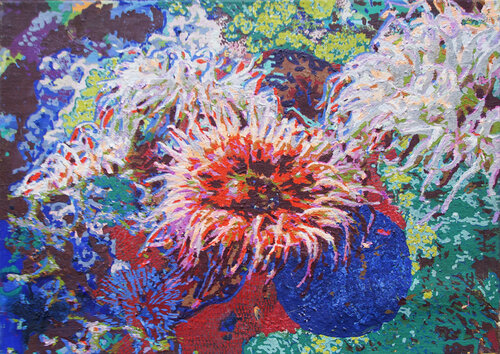 Atem der Tiefsee Erika Seywald