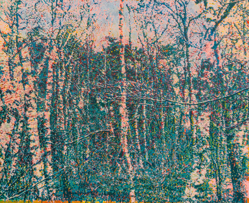 Landschaftlich Erika Seywald