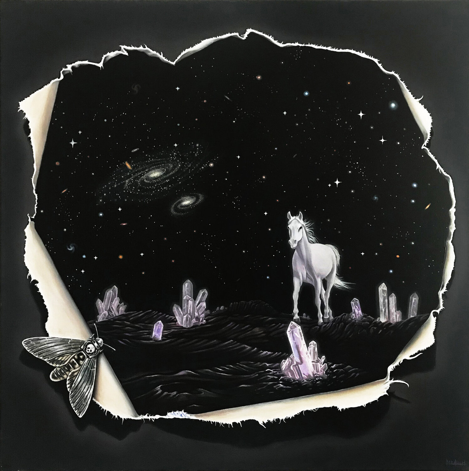 ★ FANTASY LAND ★ Maciej Rauch