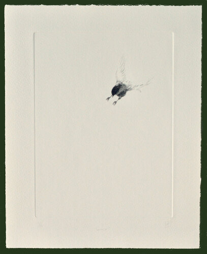 Whoosh de Angus Hampel, Impresión a la venta en Singulart