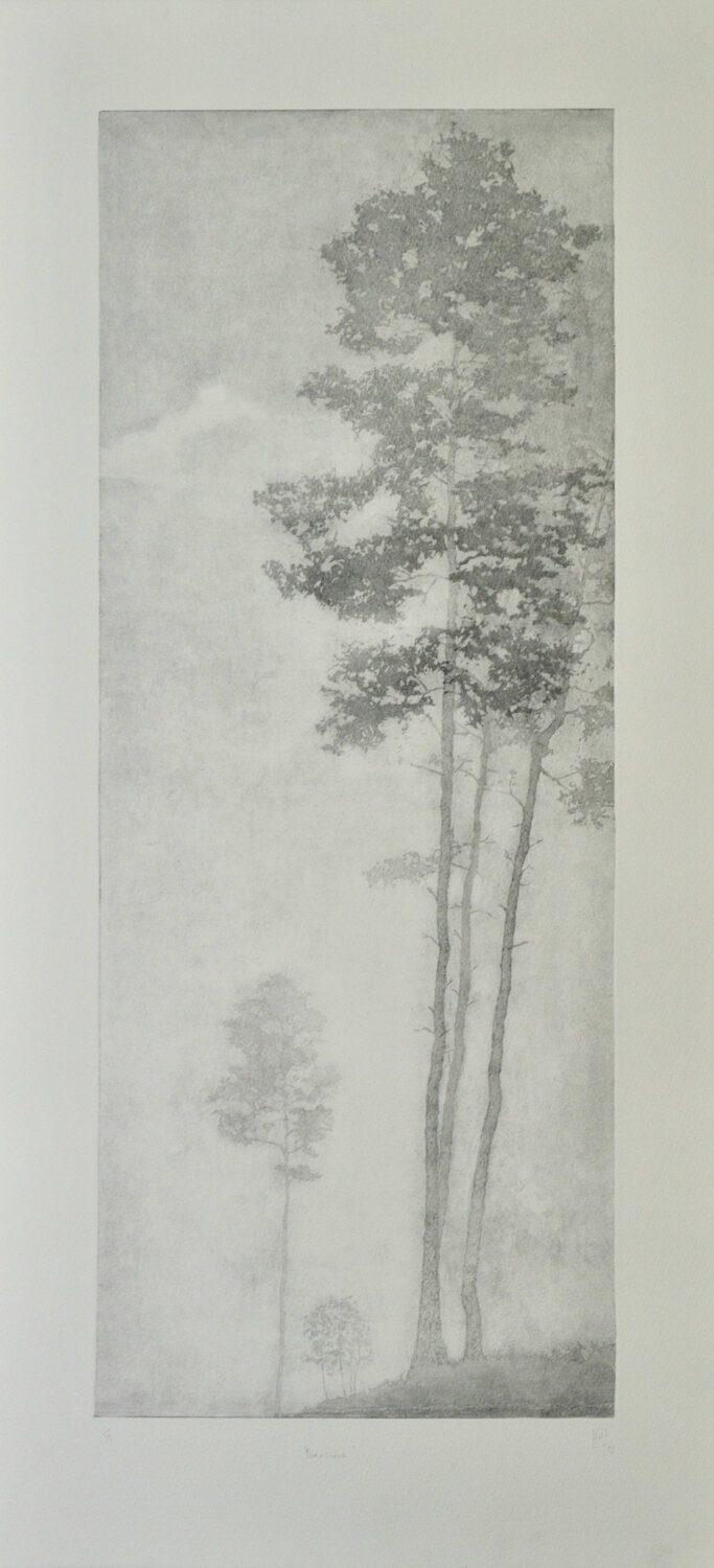 Birdsong Angus Hampel Print for sale