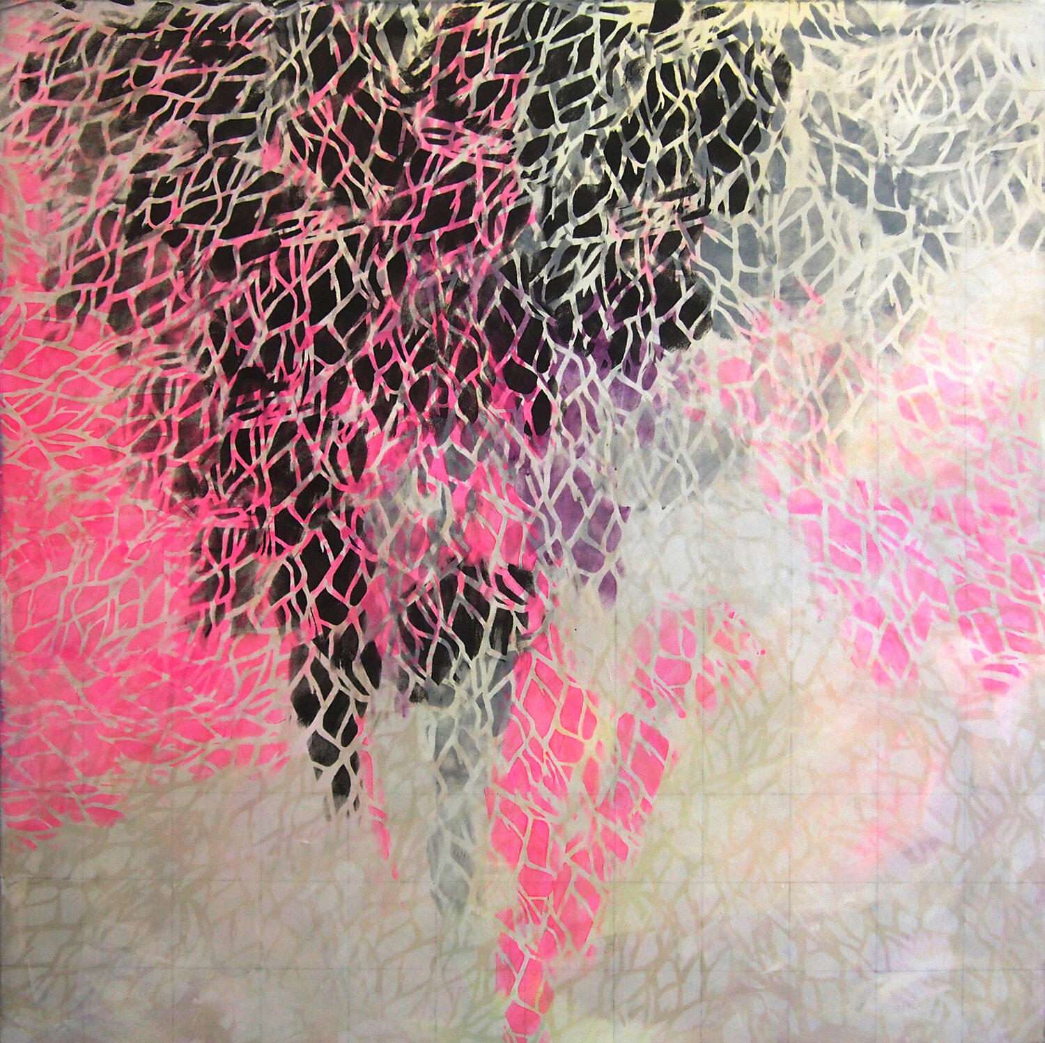Lucid Jelena Antic