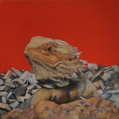 Iguana von Tomás Castaño, Malerei kaufen auf Singulart