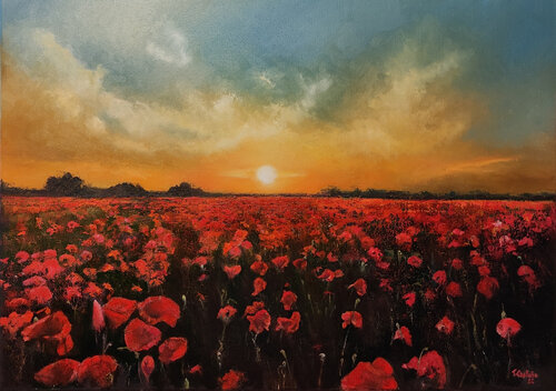 Campo de amapolas al atardecer by Tomás Castaño, Painting for Sale on Singulart