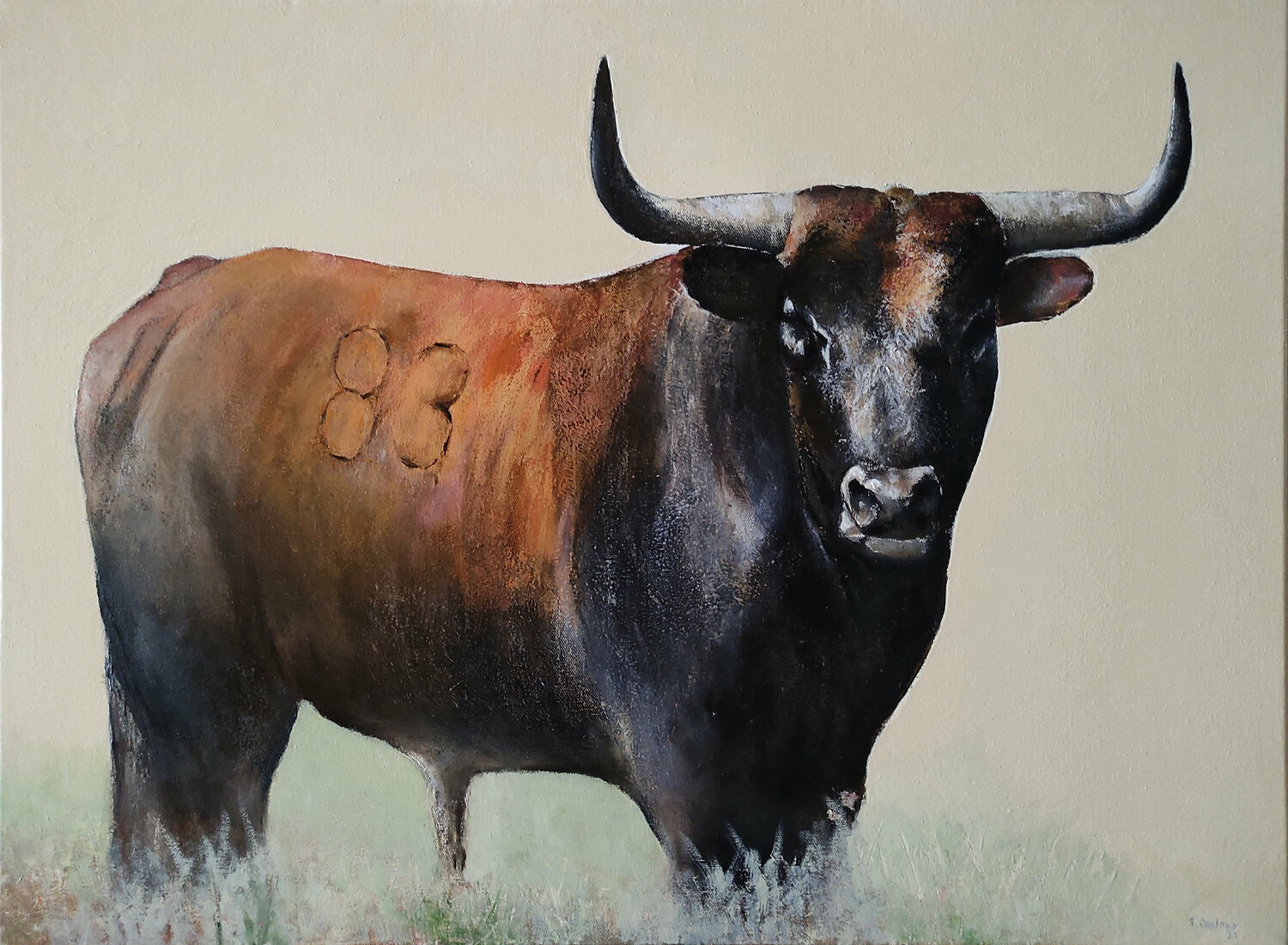 Toro bravo Tomás Castaño