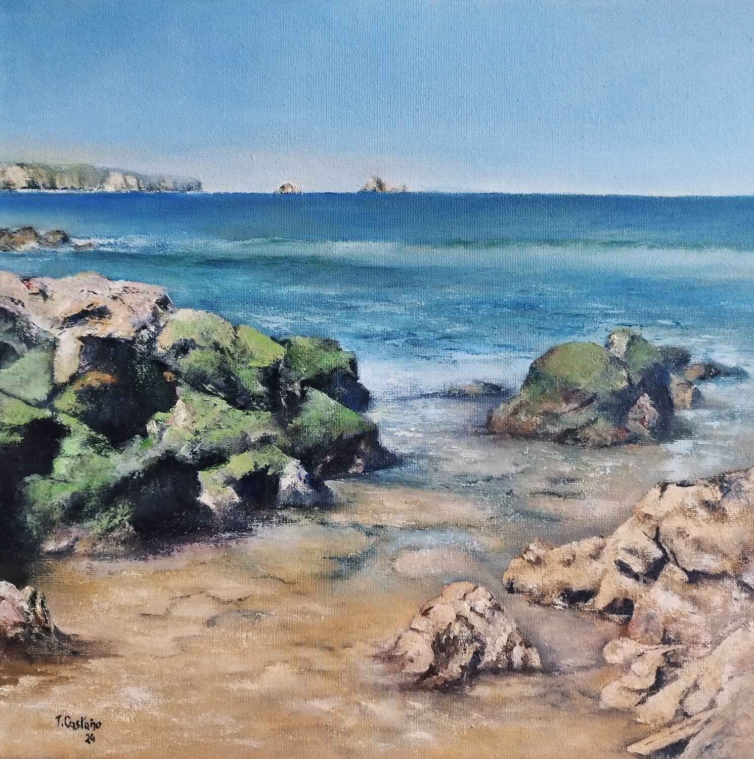 Costa Quebrada- Cantabria Tomás Castaño