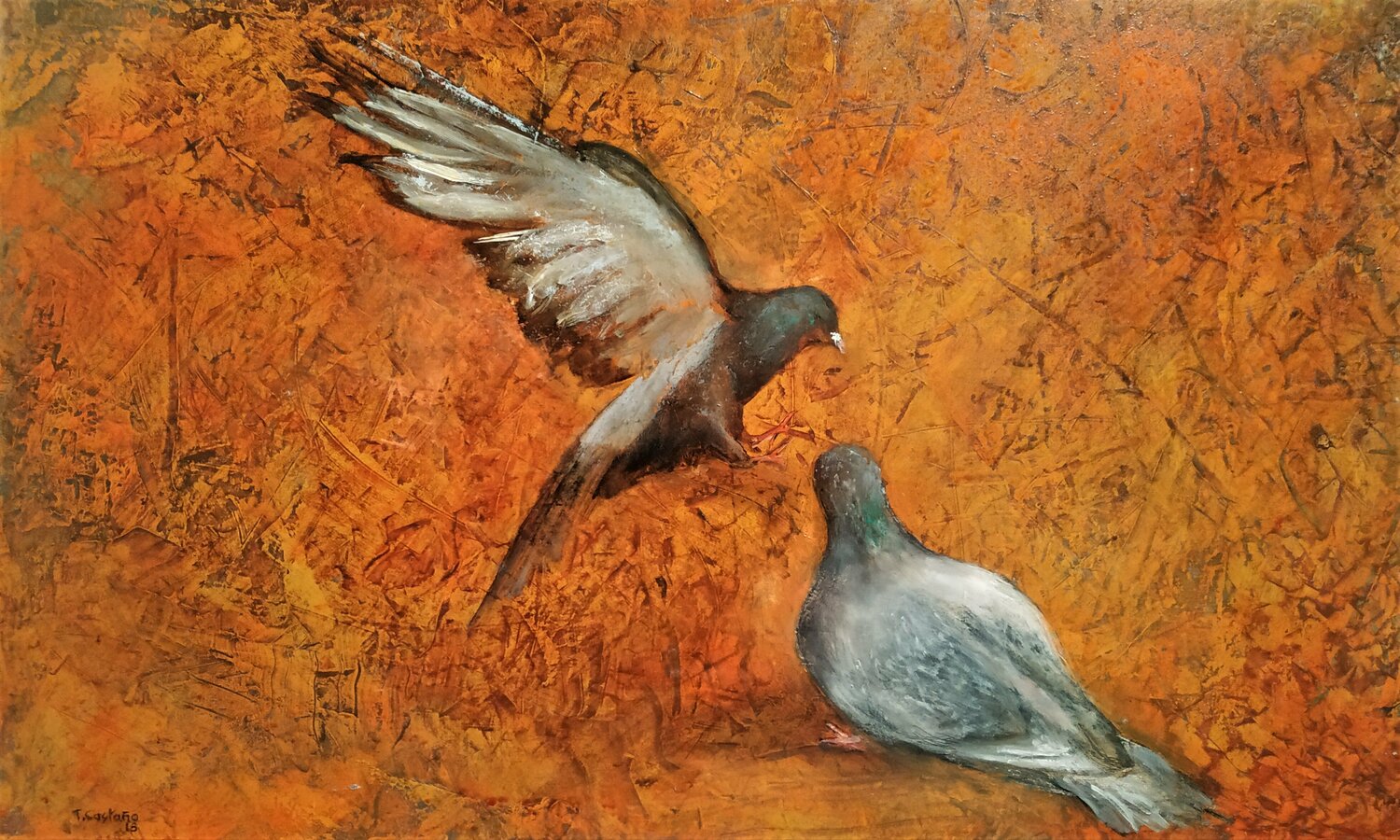 Palomas Tomás Castaño
