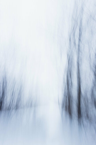 Chemin vers l'inconnu di Cristina Stefan, Fotografia in vendita su Singulart