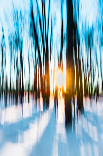 Winter Wonderland di Cristina Stefan, Fotografia in vendita su Singulart
