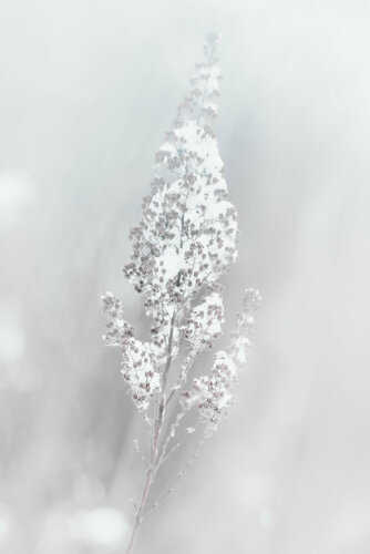 Mirage | Espejismo | Trugbild di Cristina Stefan, Fotografia in vendita su Singulart