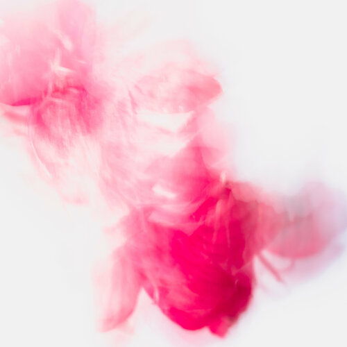 Poésie monochrome Cristina Stefan