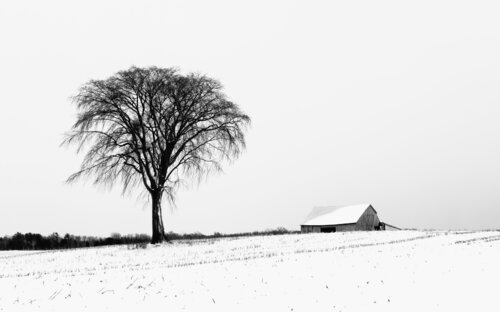 En attendant les beaux jours Cristina Stefan