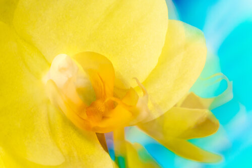 Le Soleil de Tropiques Cristina Stefan