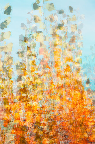 Automne doré - Photographie imprimée sur papier-aquarelle by Cristina Stefan, Photography for Sale on Singulart