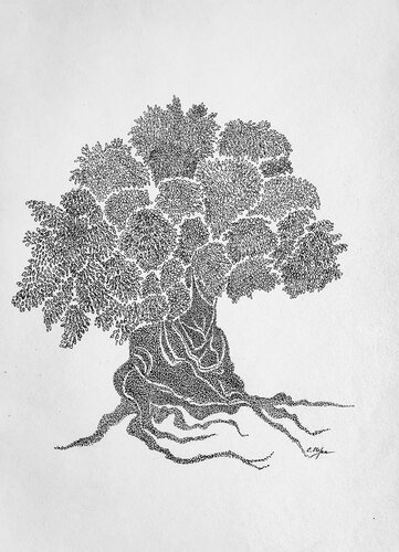 Le vieux olivier  |  The old Olive tree by Cristina Stefan, Work on Paper for Sale on Singulart