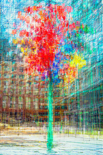 L'arbre de l'espoir, Montréal (sur papier aquarelle) by Cristina Stefan, Photography for Sale on Singulart