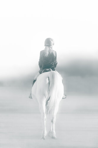 La jeune cavalière von Cristina Stefan, Fotografie kaufen auf Singulart