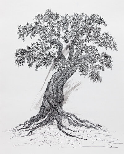 L'olivier centenaire, pointillisme à l'encre by Cristina Stefan, Work on Paper for Sale on Singulart