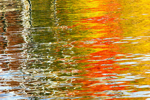 Vibrations Liquides (impression sur métal) by Cristina Stefan, Photography for Sale on Singulart
