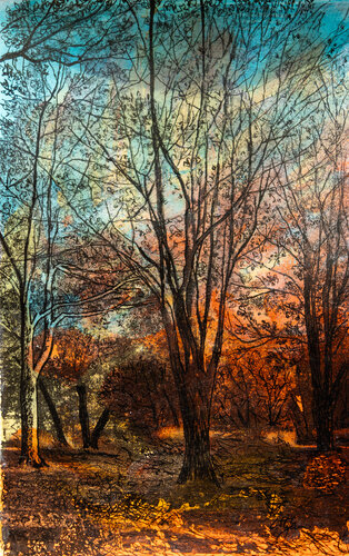 Soleil d'automne di Cristina Stefan, Opera su carta in vendita su Singulart