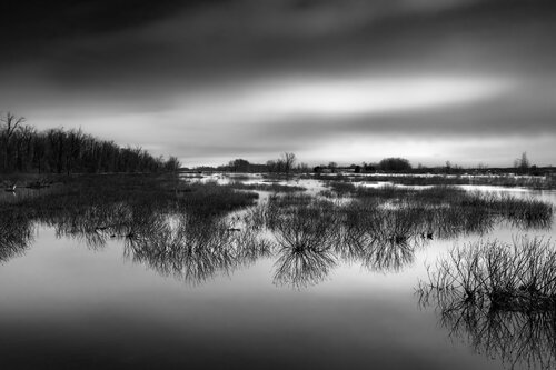 Entre ciel et eau by Cristina Stefan, Photography for Sale on Singulart
