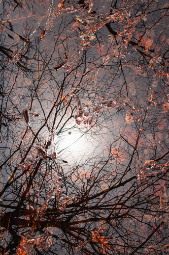 Miroir d’Équinoxe di Cristina Stefan, Fotografia in vendita su Singulart