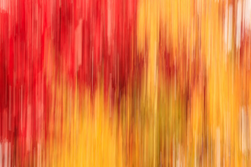 Automne abstraite | Abstract Autumn | Otoño abstracto | Abstrakter Herbst van Cristina Stefan, Fotografie te koop op Singulart