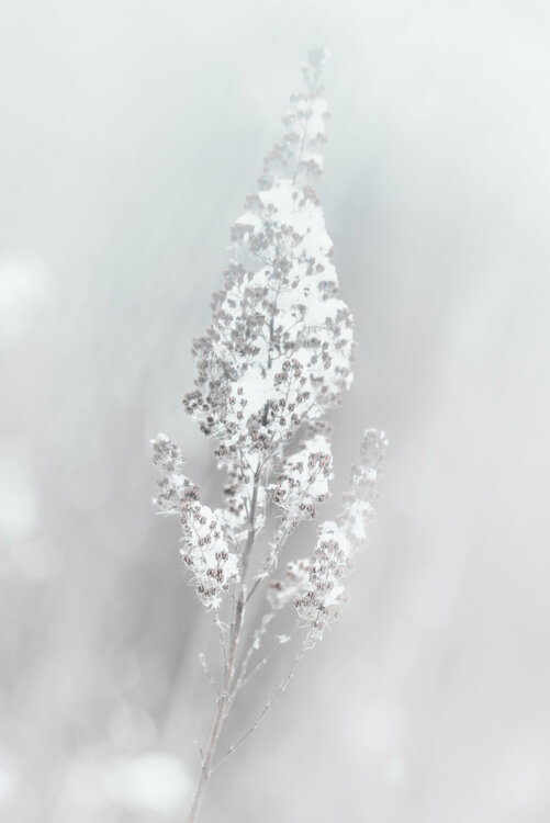 Mirage | Espejismo | Trugbild Cristina Stefan