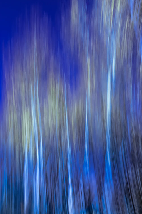 Paysage abstrait - Bleu Cristina Stefan