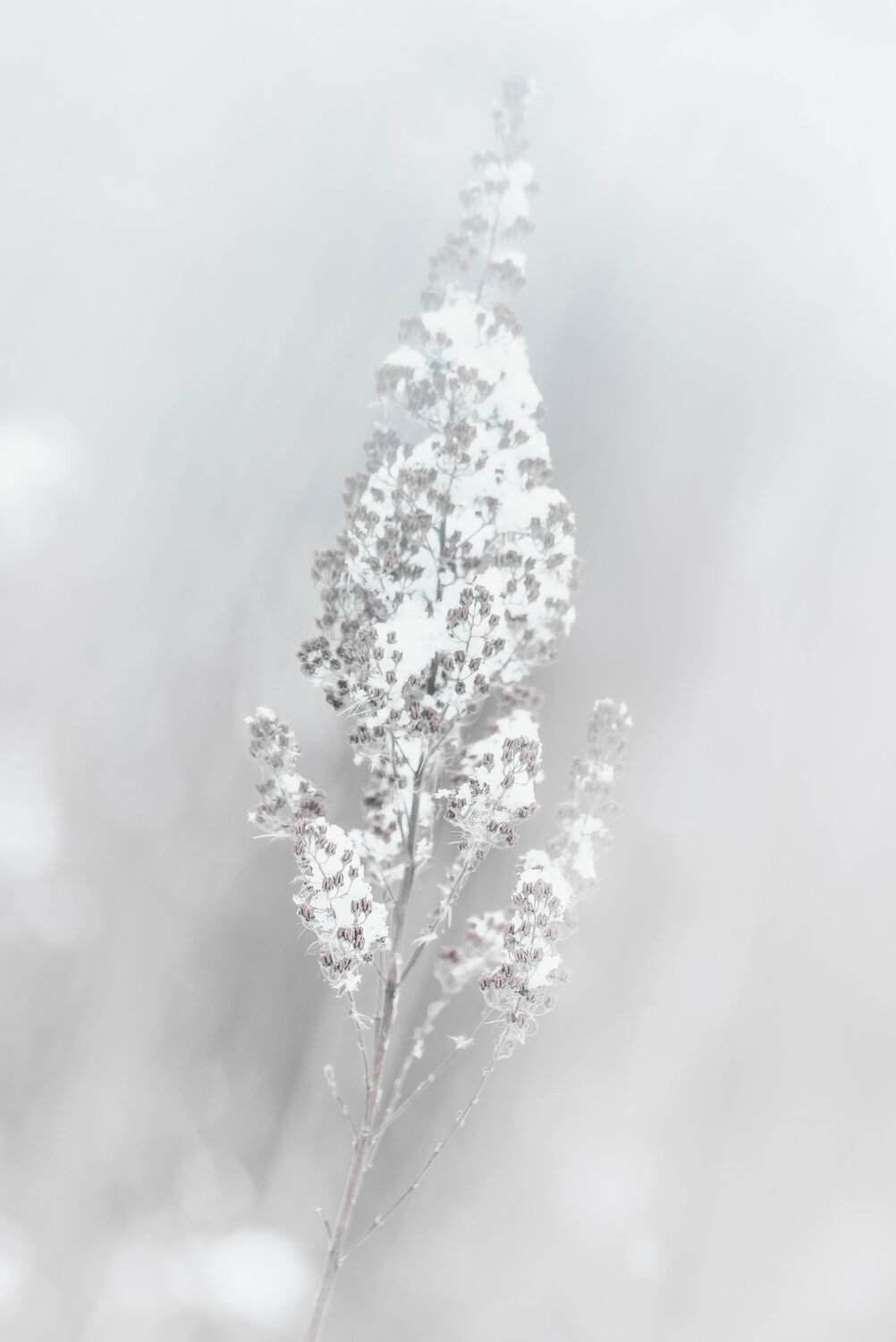 Mirage | Espejismo | Trugbild Cristina Stefan