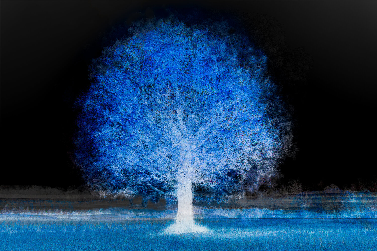 Arbre solitaire-bleu (sur papier aquarelle) Cristina Stefan Fotografie zu verkaufen