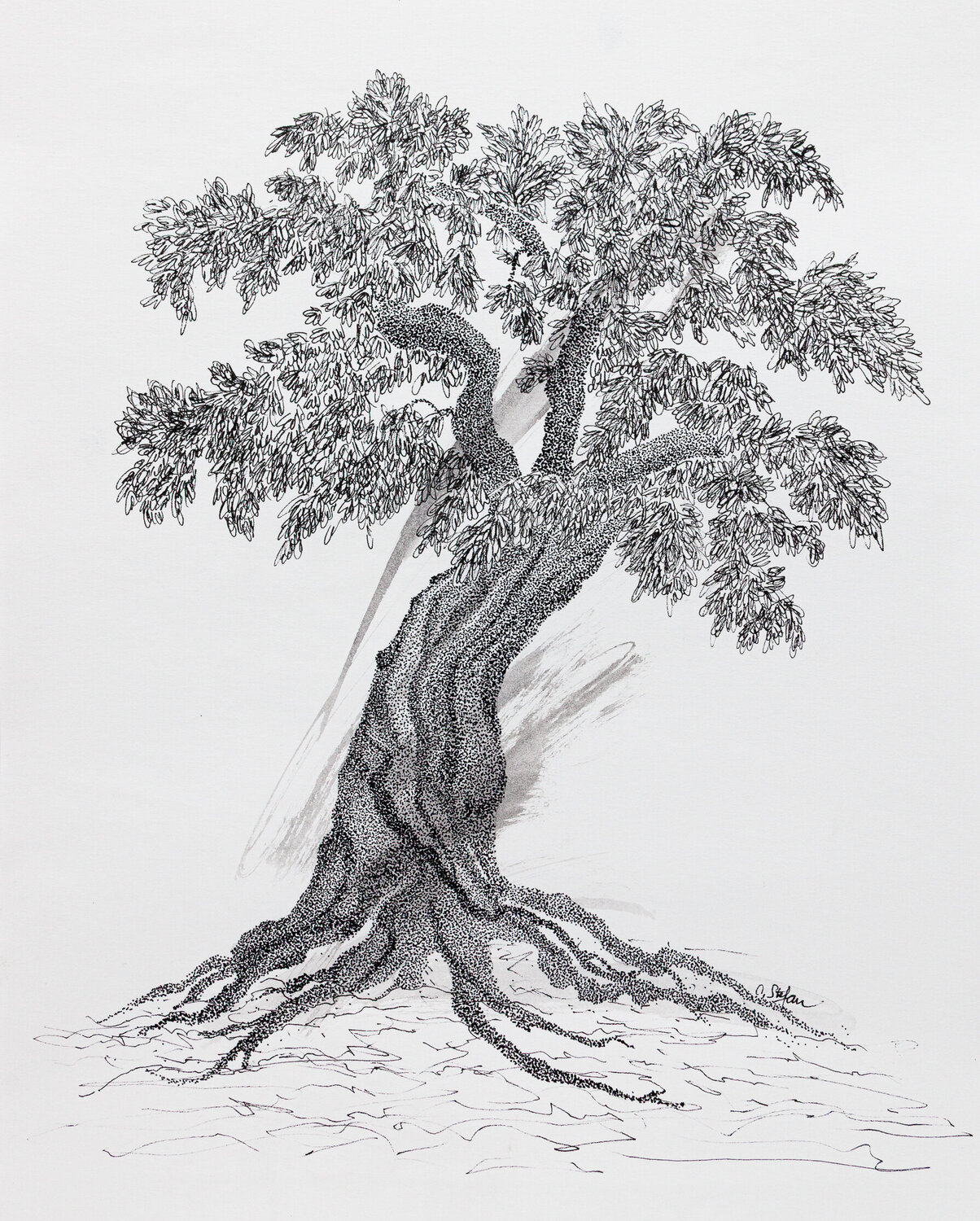 L'olivier centenaire, pointillisme à l'encre Cristina Stefan Werk auf Papier zu verkaufen