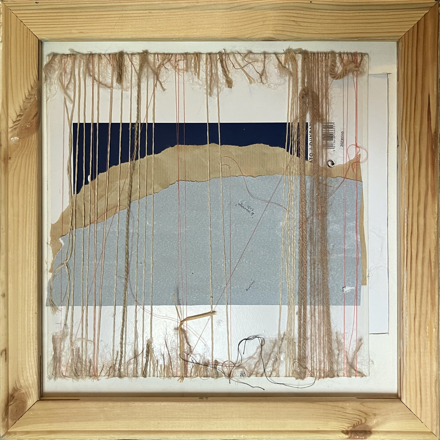 Sauvage Anne Iris