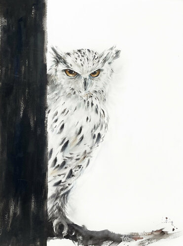 White Owl de Sophia Rodionov, Obra en papel a la venta en Singulart
