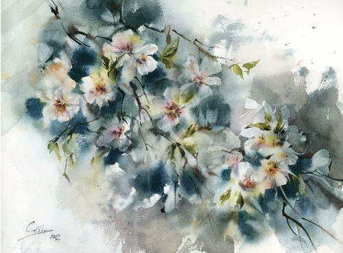 Almond Blooming Flowers Sophia Rodionov